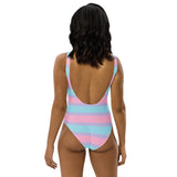 Pastel Bisexual One-Piece Swimsuit
