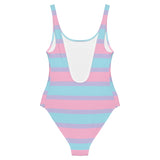 Pastel Bisexual One-Piece Swimsuit
