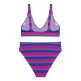 Bisexual Flag High-Waisted Bikini