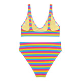 Pansexual Flag High-Waisted Bikini