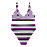 Asexual / Demisexual Flag High-Waisted Bikini