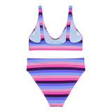 Omnisexual Flag High-Waisted Bikini