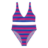 Bisexual Flag High-Waisted Bikini