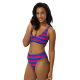 Bisexual Flag High-Waisted Bikini