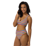 Pansexual Flag High-Waisted Bikini