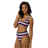 Asexual / Demisexual Flag High-Waisted Bikini