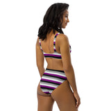 Asexual / Demisexual Flag High-Waisted Bikini
