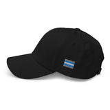 Demiboy Flag Baseball Hat