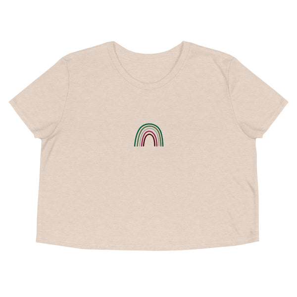 Abrosexual Rainbow Embroidered Crop Tee