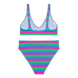 Polysexual Flag High-Waisted Bikini
