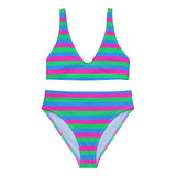 Polysexual Flag High-Waisted Bikini