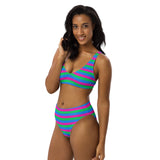 Polysexual Flag High-Waisted Bikini