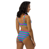 Polysexual Flag High-Waisted Bikini