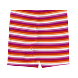 Lesbian Flag Spandex Shorts