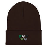 Aromantic / Demiromantic Pride Hearts Beanie