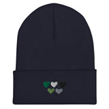 Aromantic / Demiromantic Pride Hearts Beanie