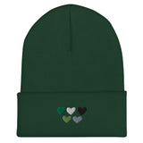 Aromantic / Demiromantic Pride Hearts Beanie