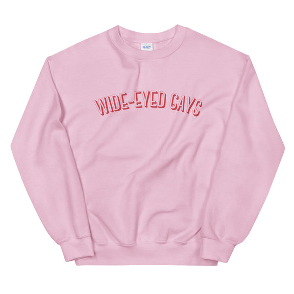 Wide-Eyed Gays Sweatshirt